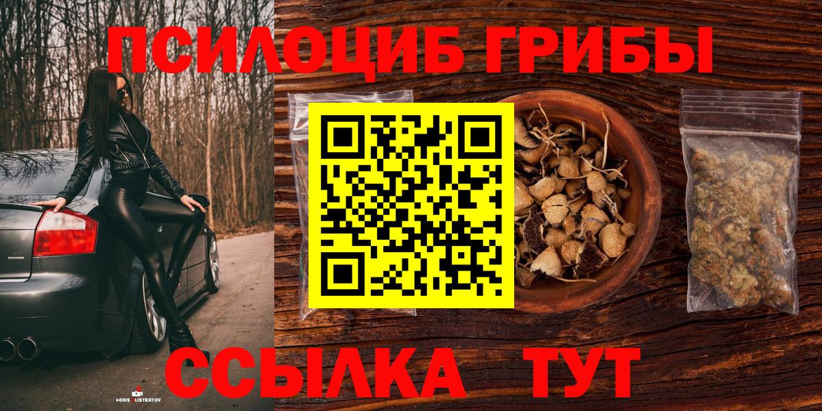Великий Новгород  Галлюциногенные грибы Magic Shrooms  Псилоцибиновые грибы Psilocybine cubensis  Вход с VPN 